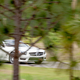 Illustration for article titled Beauty and the Beast - 2013 Mercedes-Benz SL63 and 1960 Mercedes-Benz 300SL Roadster